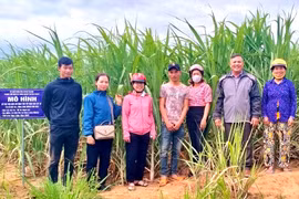 Kbang nhân rộng mô hình tưới tiết kiệm nước trên cây mía