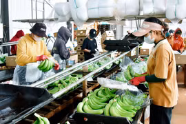 Công nghiệp chế biến: Kỳ vọng tăng trưởng mạnh