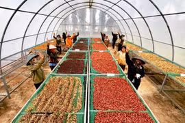 Nâng tầm giá trị hạt cà phê