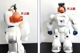 Trung Quốc tạo ra robot có não làm từ tế bào gốc con người