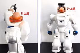 Trung Quốc tạo ra robot có não làm từ tế bào gốc con người