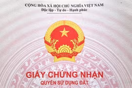 Cấp sổ đỏ cho đất không giấy tờ: Phải là đất 'sạch' không xảy ra tranh chấp