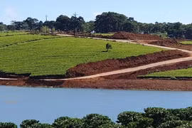 Đất nông nghiệp ở Lâm Đồng bao nhiêu mét thì được xây dựng công trình?