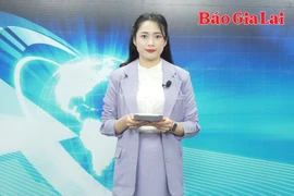 Gia Lai 24h: Chủ động quản lý điều hành, bình ổn giá cả thị trường 