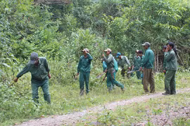 Gia Lai tăng cường sự lãnh đạo của Đảng đối với công tác quản lý, bảo vệ và phát triển rừng