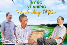 Ký ức về những “cánh đồng 10 tấn”