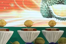 Hé lộ người vừa trúng đấu giá 3 quả sầu riêng hơn 2,8 tỷ