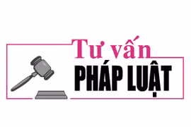 Luật sư Bùi Thanh Vũ tư vấn pháp luật về xin hoãn chấp hành án phạt tù để nuôi con nhỏ