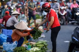 Tiền lương tối thiểu vùng được xác lập dựa trên các yếu tố nào?