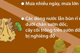 Những dấu hiệu nhận biết nguy cơ xảy ra sạt lở đất
