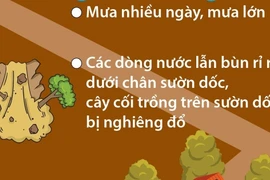 Những dấu hiệu nhận biết nguy cơ xảy ra sạt lở đất