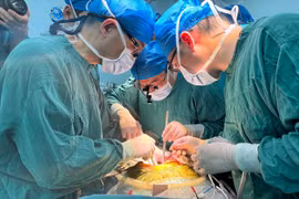 Lần đầu tiên ghép thành công gan lợn chỉnh sửa gen cho người sống 