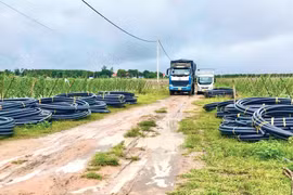 Công ty TNHH Sản xuất và kinh doanh Bảo Khang Plastic: “Sự hài lòng của khách hàng là động lực phát triển”