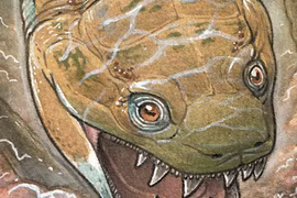 Phát hiện sinh vật giống kỳ nhông tồn tại trước khủng long