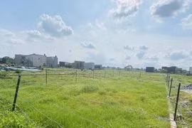 Có thu hồi được đất nông nghiệp bỏ hoang?