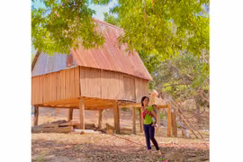 Về làng “quanh năm ăn cơm nếp”