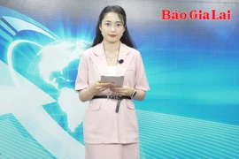 Gia Lai 24h: Gia Lai tinh giản biên chế 43 cán bộ, công chức, viên chức trong các cơ quan hành chính, đơn vị sự nghiệp