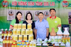 Việc áp dụng các tiêu chuẩn, quy chuẩn hay các công cụ cải tiến sẽ giúp doanh nghiệp, hợp tác xã nâng cao sức cạnh tranh trên thị trường