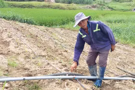 Ứng dụng công nghệ tưới tiết kiệm nước: Lợi ích kép