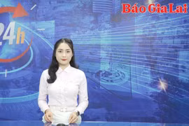 Gia Lai 24h: Chủ đầu tư điện mặt trời bị tạm dừng mua bán điện chờ phán quyết của tòa án