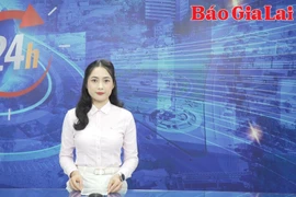 Gia Lai 24h: Chủ đầu tư điện mặt trời bị tạm dừng mua bán điện chờ phán quyết của tòa án