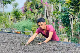 Khởi nghiệp thành công nhờ sản xuất trà thảo mộc theo tiêu chuẩn VietGAP