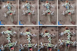 Trung Quốc trình làng robot giống thằn lằn sa mạc thám hiểm sao Hỏa