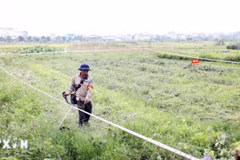 Quy định mới về bồi thường, hỗ trợ, tái định cư khi Nhà nước thu hồi đất