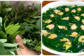 Có nên ăn rau ngót hàng ngày?