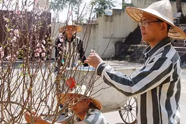 Đường về nẻo thiện không còn xa