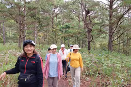 Lên xứ hoa hái nấm