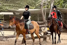 Trăm năm vó ngựa thị thành: Chơi ngựa 'sang chảnh'