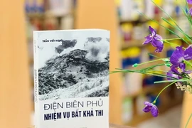  'Điện Biên Phủ: Nhiệm vụ bất khả thi'