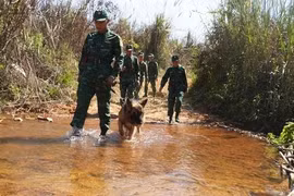 Biên cương hữu nghị: Đánh án ma túy ở ngã ba Đông Dương