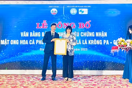 Khoa học công nghệ và đổi mới sáng tạo: Động lực phát triển bền vững 