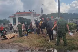 Bình Định: Khởi tố tài xế xe tải gây tai nạn chết người rồi bỏ trốn