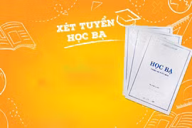 Ủy ban nhân dân tỉnh trả lời kiến nghị cử tri TP. Pleiku về việc xem xét dừng xét học bạ vào THPT và tổ chức thi tuyển