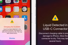 Apple khuyên không nên đưa iPhone vào gạo để khử ẩm