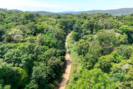 Khai thác tiềm năng, phát triển thị trường tín chỉ carbon rừng