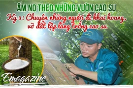 Ấm no theo những vườn cao su - Kỳ 3: Chuyện những người đi khai hoang, vỡ đất lập làng trồng cao su