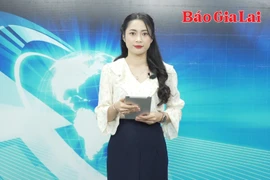 Gia Lai 24h: Rừng biên giới Ia Mơr bị xâm phạm nghiêm trọng 