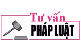 Luật sư Bùi Thanh Vũ tư vấn pháp luật về xử lý hành vi ly hôn giả tạo