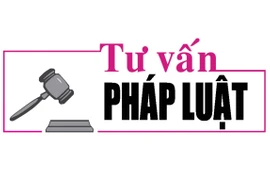 Luật sư Bùi Thanh Vũ tư vấn pháp luật về xử lý hành vi ly hôn giả tạo