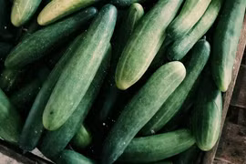 Dưa leo không chỉ có nhiều nước