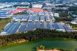 Thị trường bất động sản được kỳ vọng sẽ phục hồi nhưng không đồng đều