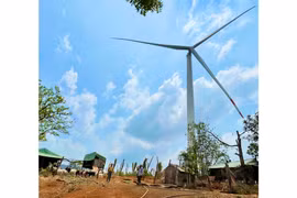 Dự án Nhà máy Điện gió Ia Le 1: Doanh nghiệp và người dân chưa tìm được tiếng nói chung
