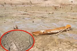 Cận cảnh hồ đập trơ đáy, dân quay cuồng tìm nước tưới giữa nắng hạn Tây Nguyên