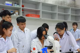 Lạm dụng chương trình chất lượng cao