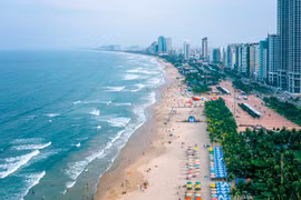 Có một tình yêu biển