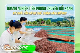 Doanh nghiệp tiên phong chuyển đổi xanh-Kỳ cuối: Cần có cơ chế, chính sách hỗ trợ